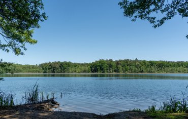 Haltern