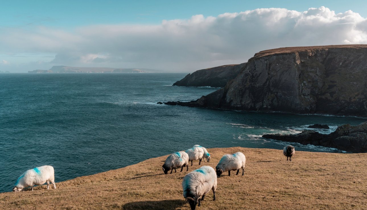 Irland