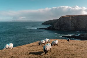 Irland