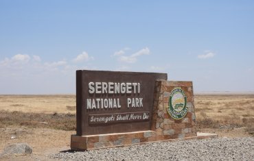 Serengeti