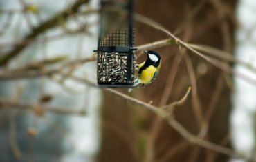 Vogelpark Maria Veen