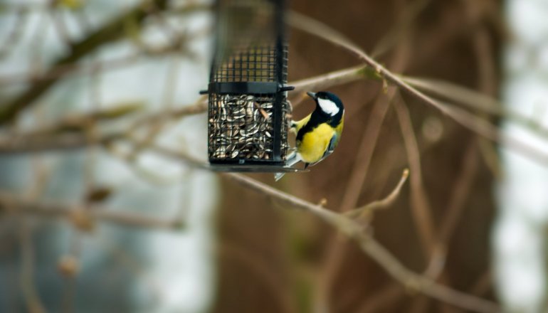 Vogelpark Maria Veen