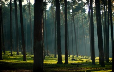 Granatpark