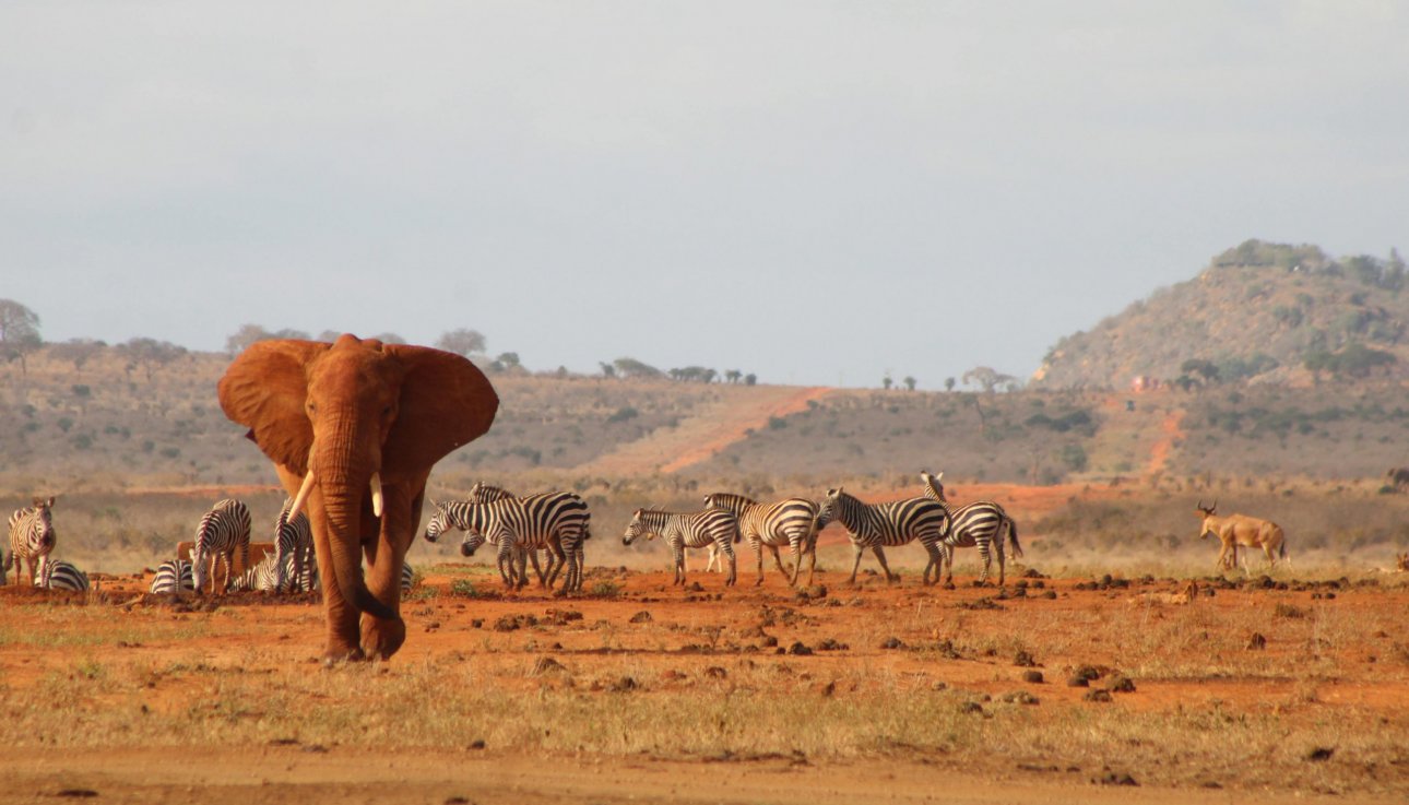 Kenia