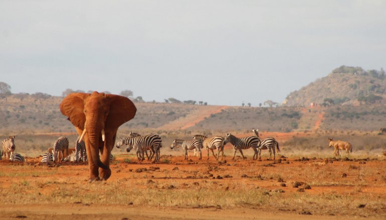 Kenia