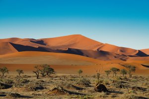 Namibia