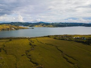 Waitangi