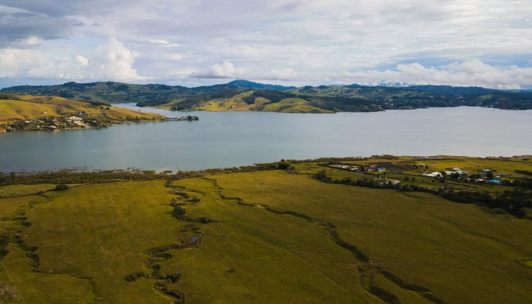 Waitangi