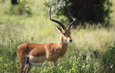 Wildpark Frankenhof
