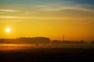 Münsterland