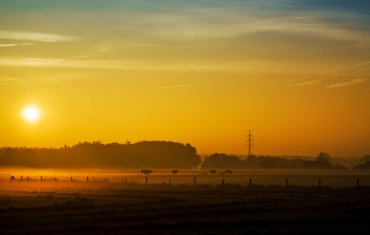 Münsterland