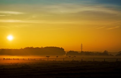 Münsterland