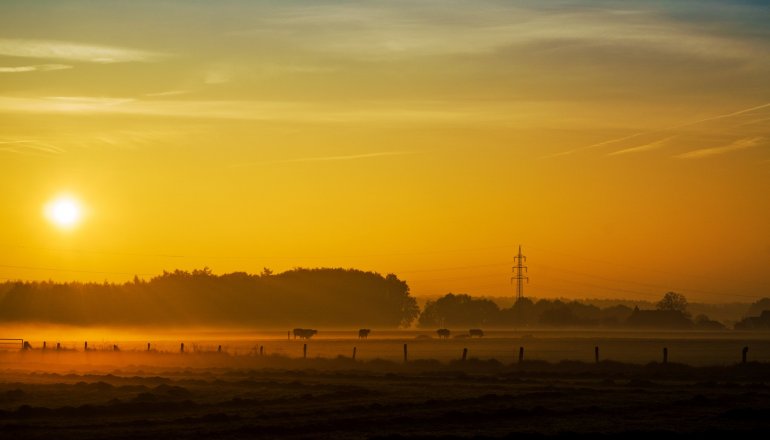Münsterland